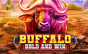 Buffalo Hold and Win